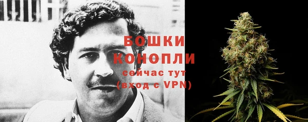 экстази Богданович