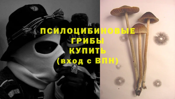 скорость Богородицк
